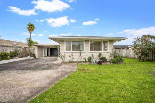 73 Wallace Road Papatoetoe_3