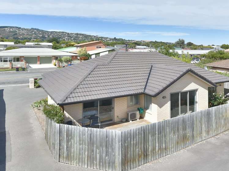 15 Millar Street Sydenham_18