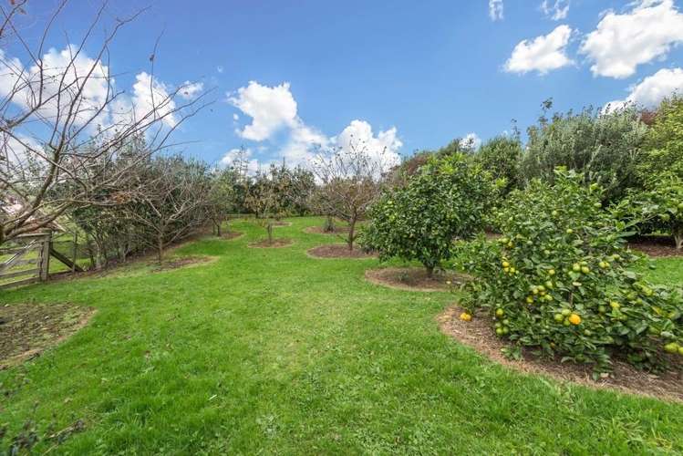 158 Quail Road Kaukapakapa_12