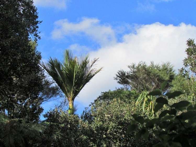 124 Victoria Street Whakatete Bay_25