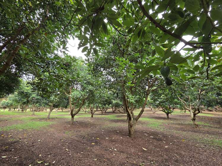 244 Beach Road Katikati_40