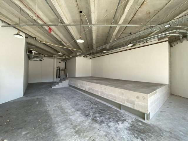 109 Ward Street Hamilton City Central_1