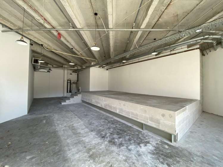 109 Ward Street Hamilton City Central_1