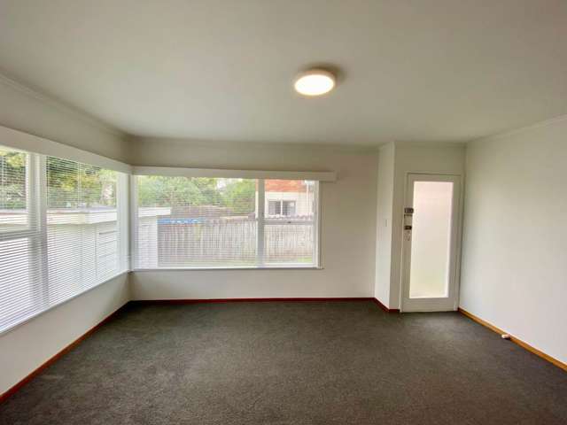 3/25 Clarke Road Onehunga_2