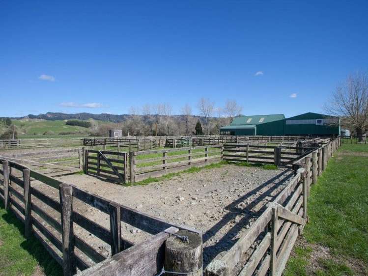 2286 State Highway 3 Mahoenui_9