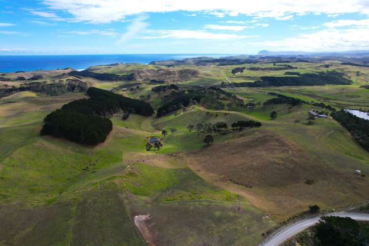 Babylon Coast Road Dargaville_14