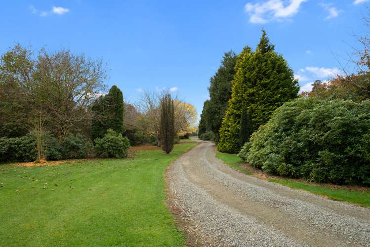 12 Braudigam Road West Tapanui_18