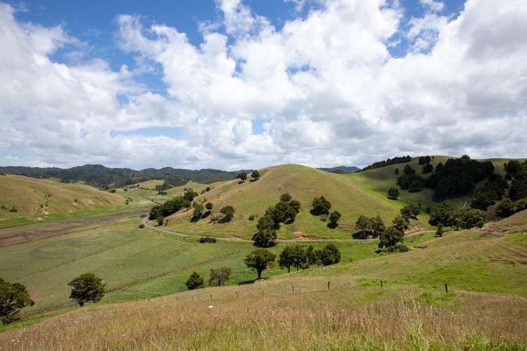 538 Hailes Road Whananaki_9