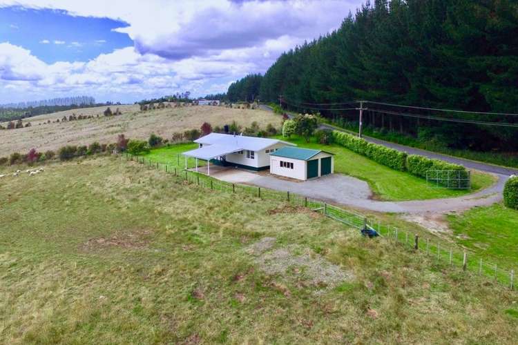 1796 Te Matai Road Te Ranga_20