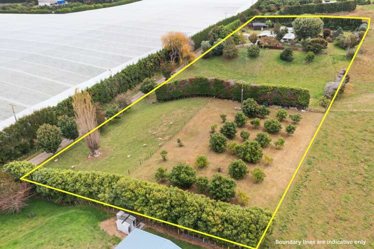 178b Maniatutu Road Pongakawa_30