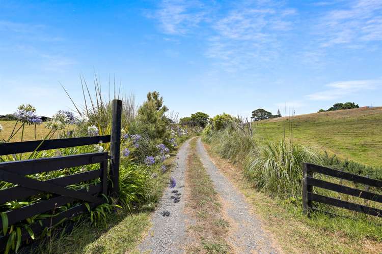 380 Kaipara Coast Highway Helensville_18