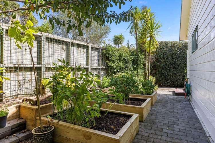 41 Hammond Avenue Hatfields Beach_20