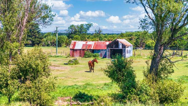 373 Lower Styx Road Spencerville_10