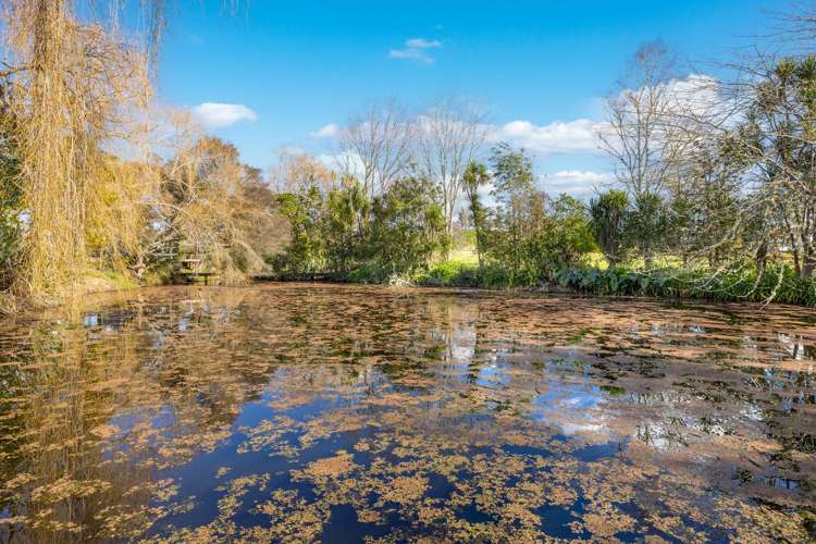 917 Port Albert Road Wellsford_20