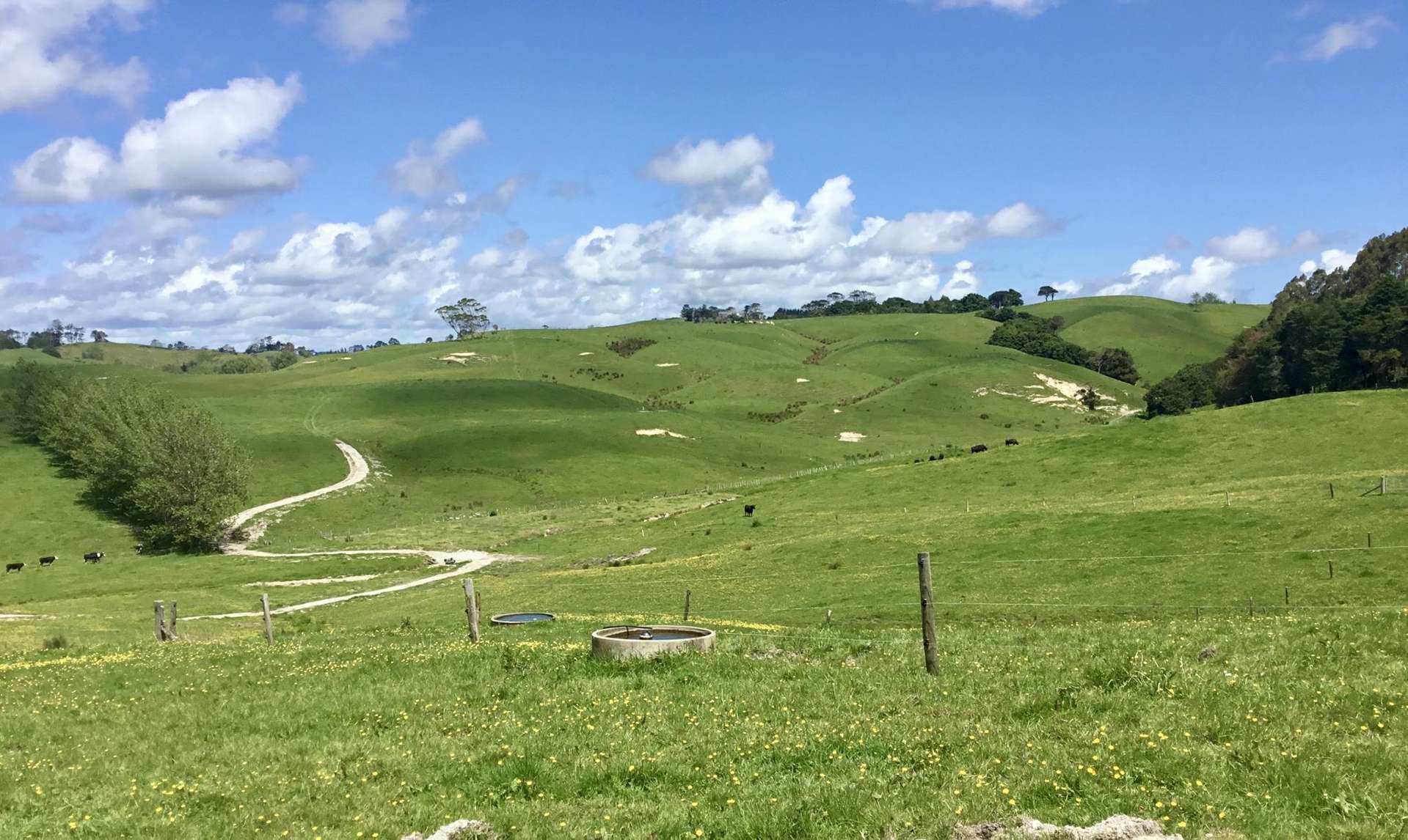 Lot 1/& Lot 5 Wharehine Road Wellsford_0