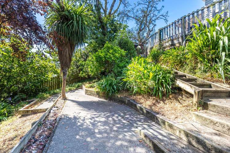 26 Jenner Road Toi Toi_22