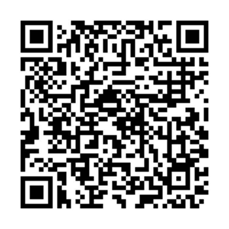 100 Target Road Wairau Valley_8