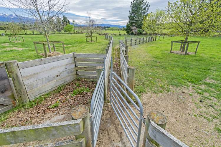 539 Bluff Road Sheffield_24