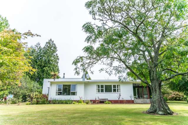 281 Awamate Road Wairoa Country_1