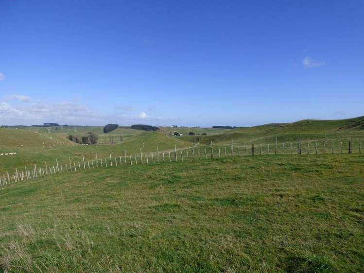 210 Valley Road Bunnythorpe_8