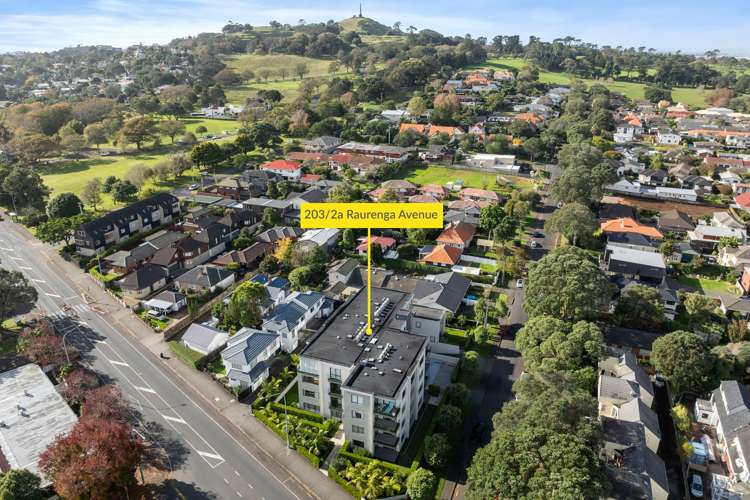 203/2a Raurenga Avenue Royal Oak_2