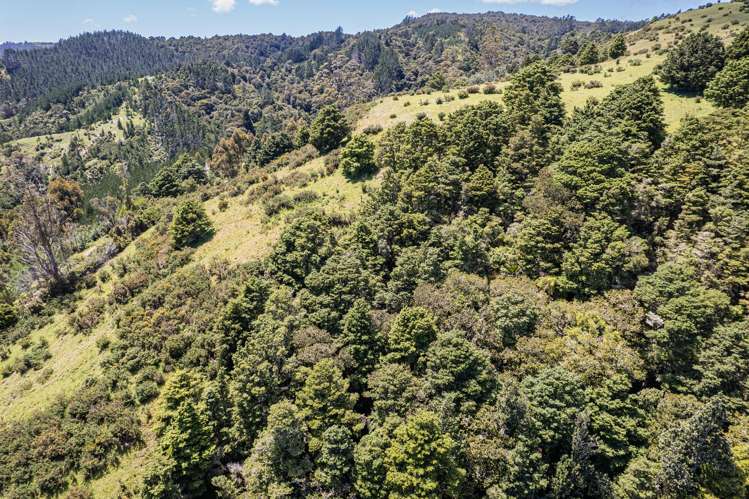 802 Russell Road Whakapara_42