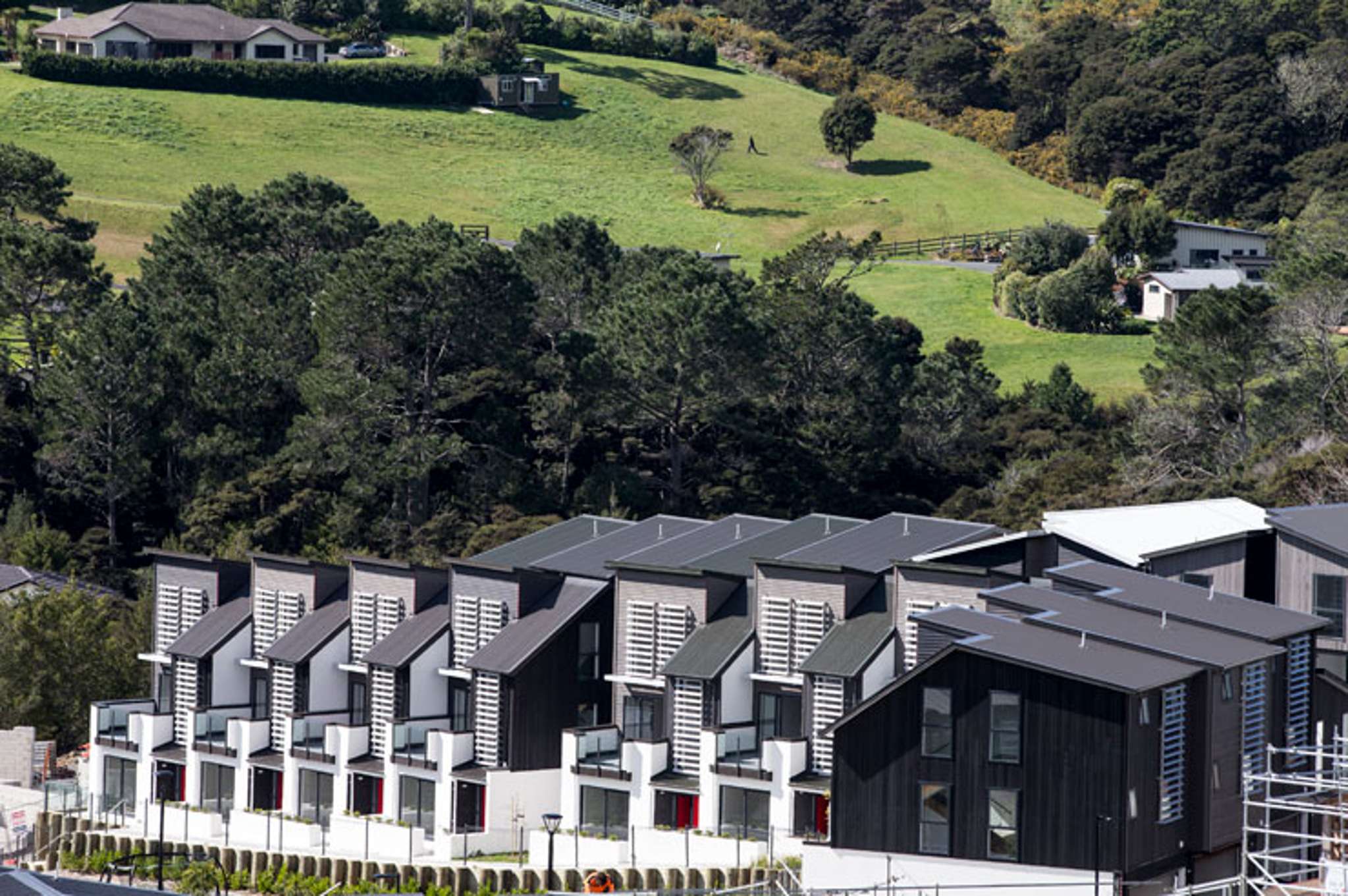 The 10 NZ suburbs to watch in 2020