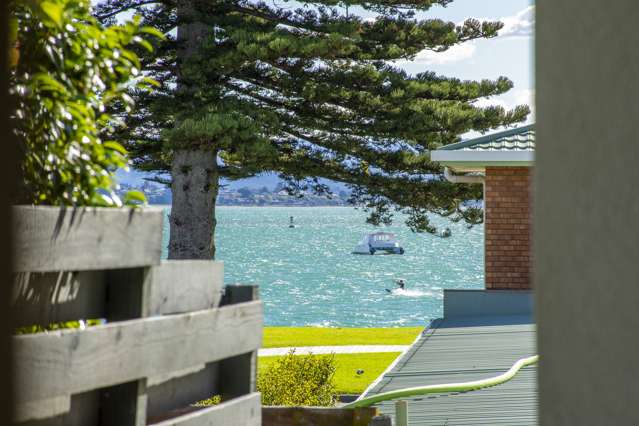 3/14 Victoria Road Mount Maunganui_1