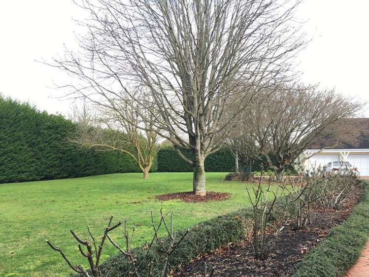 119 Hingaia Road Karaka_2