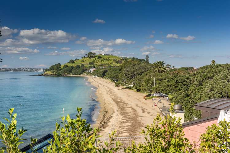 84a Vauxhall Road Narrow Neck_17