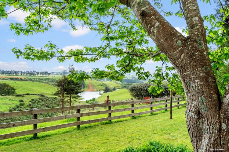 187 Kauri Road Onewhero_6