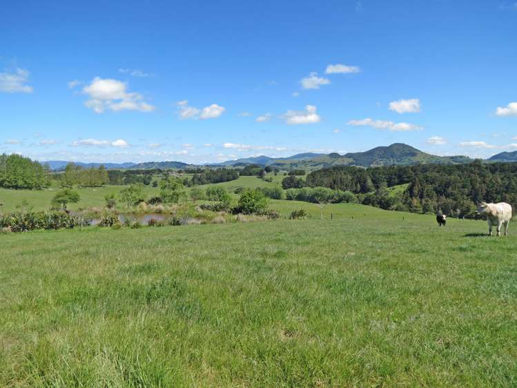 202 Knight Road Ruatangata_1