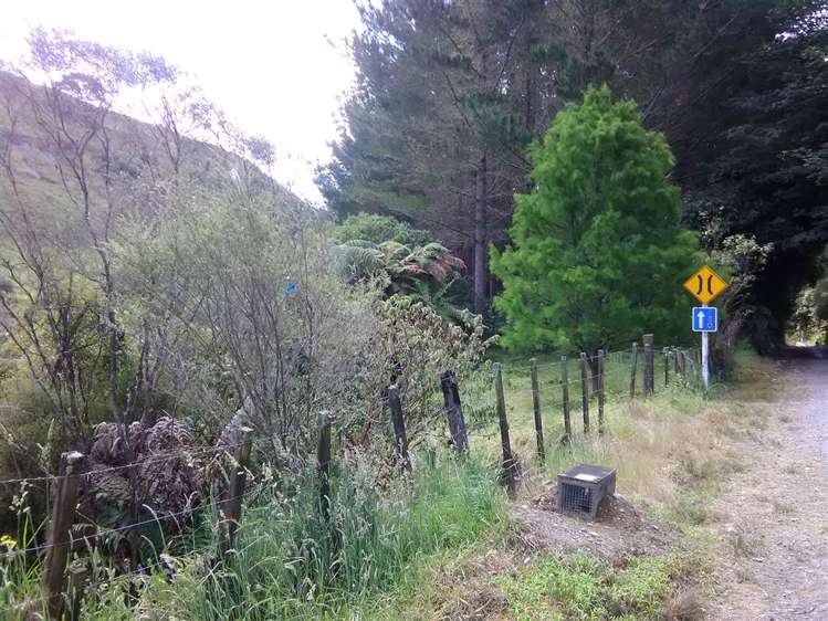 250 Maungaroa Road Ruapehu-King Country Surrounds_11