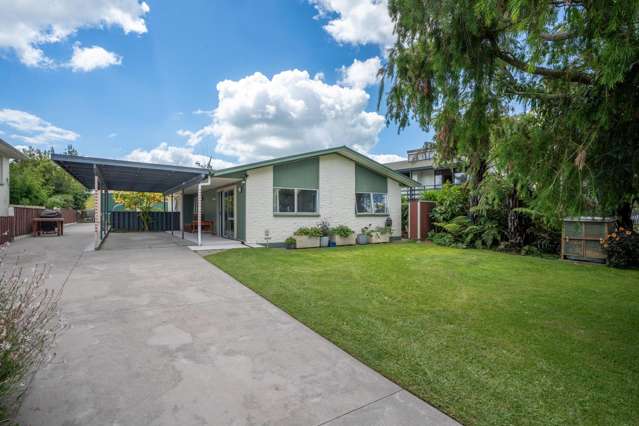 558 Picquet Hill Road Te Awamutu_1