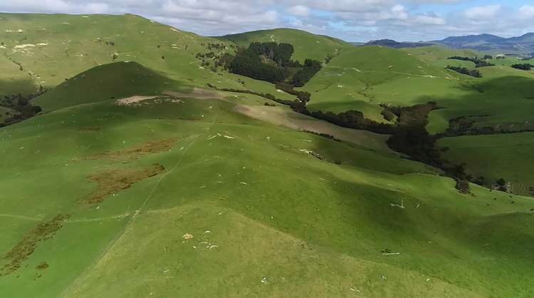 10284 Route 52 Pongaroa_14