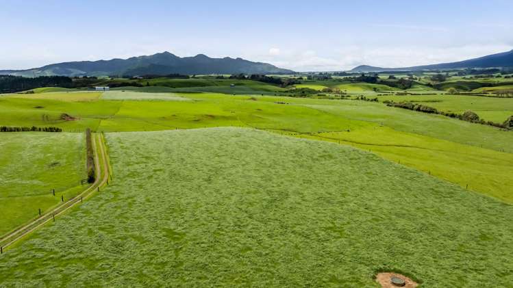 165 Oxford Road Okato_28