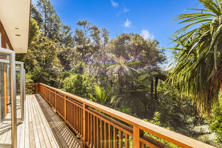 19 Te Aute Ridge Road Waitakere_25