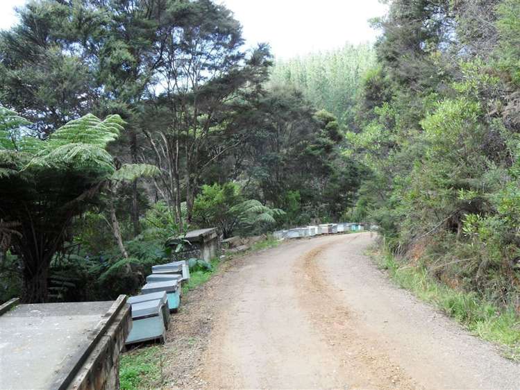 Paihia Road Paihia_1