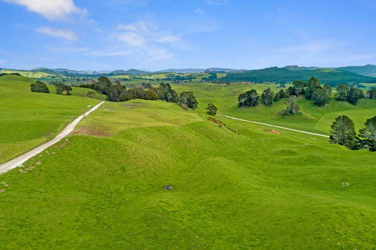 385 Whirinaki Valley Road Ngakuru_17