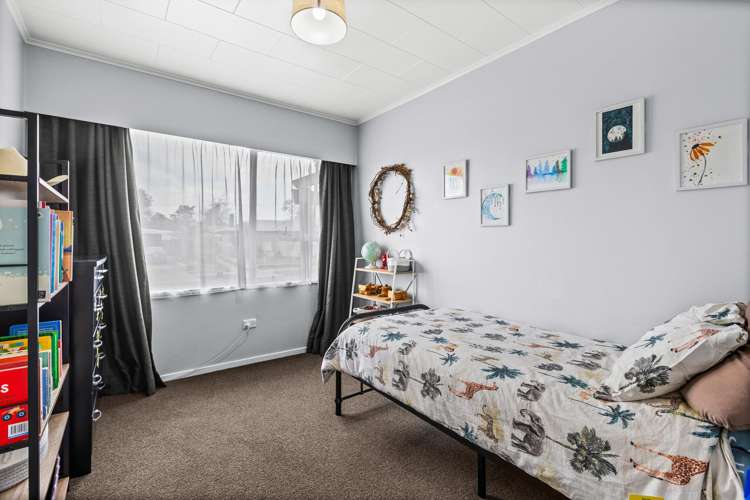 23 Plunket Street Tamatea_15