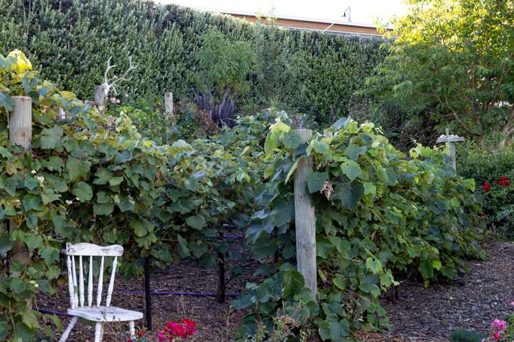 4/311 Flume Road Tauwhare_27