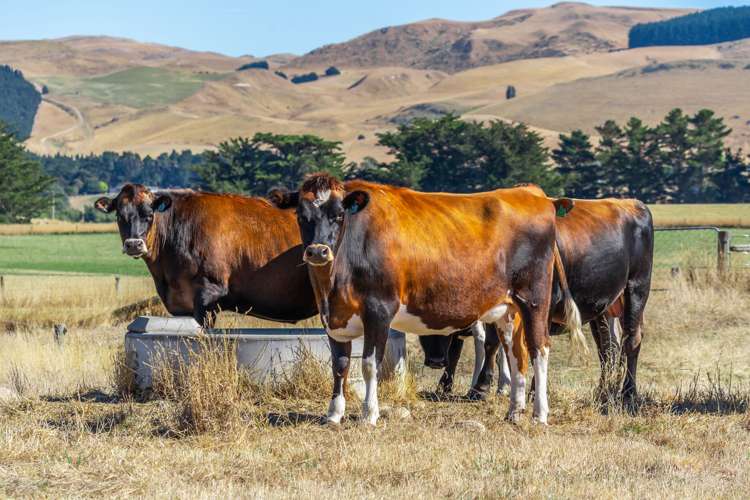 50 Jurys Road Waipara_24