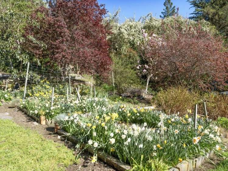 4987 Christchurch Akaroa Road Little River_21