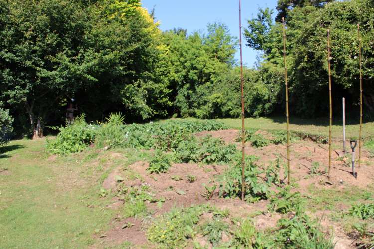 15 Stafford Street Waihi_5