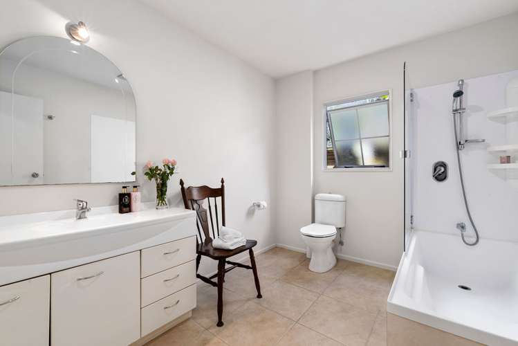 62 Potter Road Dairy Flat_12