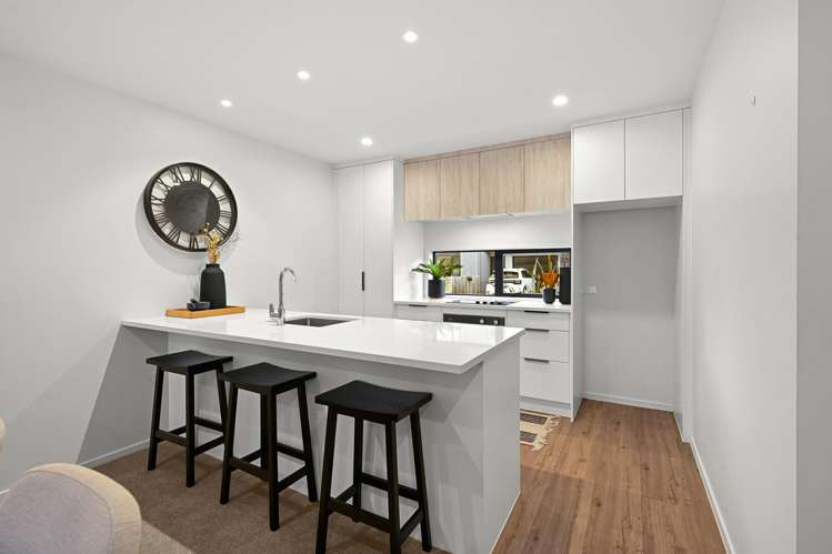 7 Gecko Lane Hamilton Lake_11