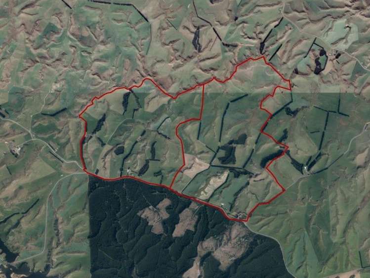 1680 Mahinerangi Road Waipori_38