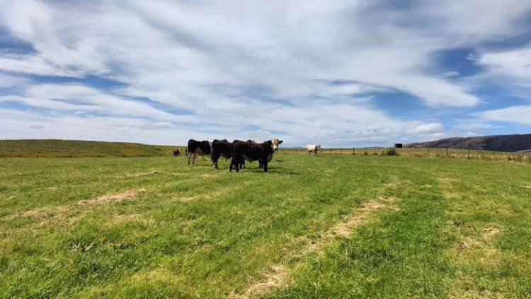 80 Mcdonald Road Lumsden Surrounds_1