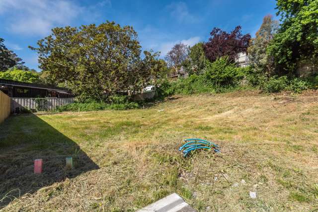 77 Aynsley Terrace Hillsborough_2