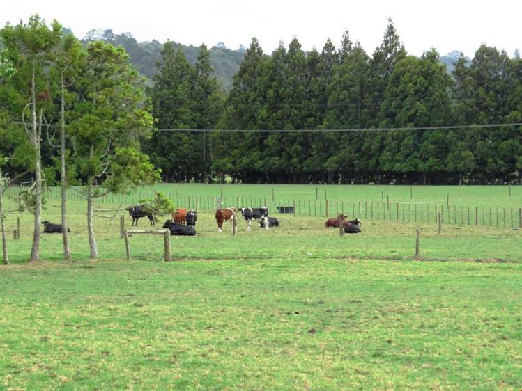 16 Mclennan Road Whakapara_2